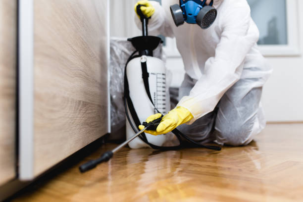 Reliable Brownsville, KY Pest Control Solutions
