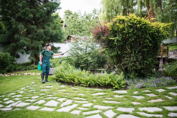 Best Pest Prevention Services  in Brownsville, KY