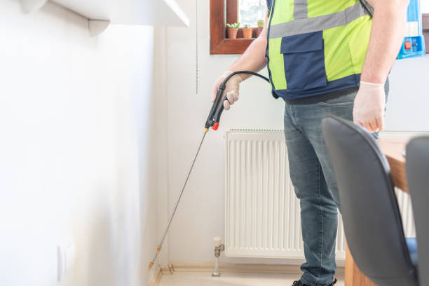 Best Local Pest Control Services  in Brownsville, KY
