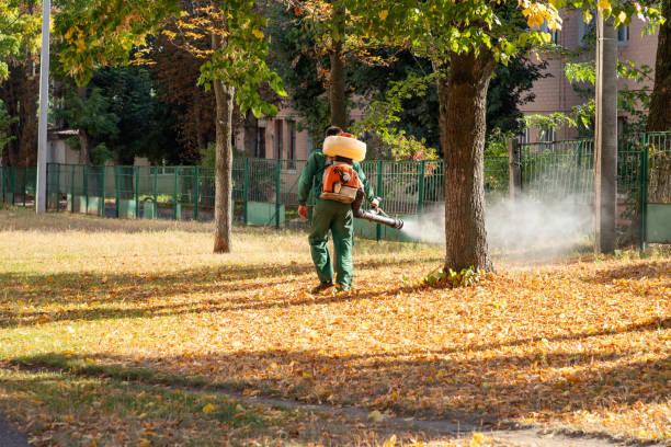 Pest Control for Restaurants in Brownsville, KY