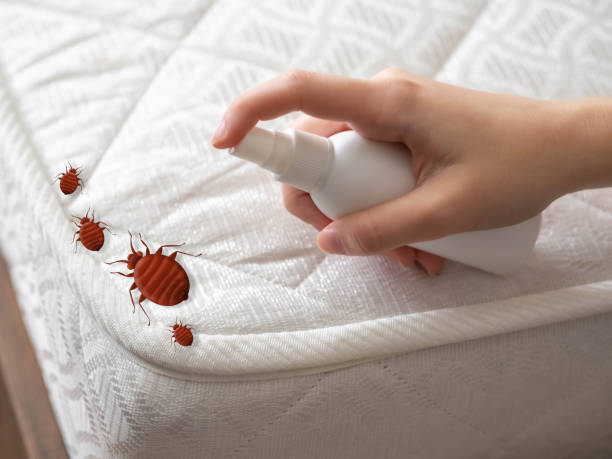 Best Cockroach Control Services  in Brownsville, KY