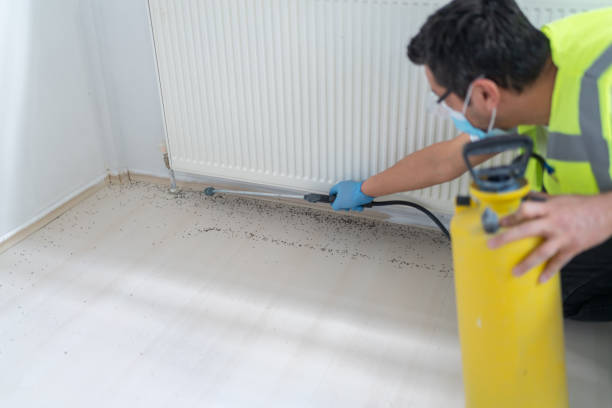 Best Ant Control Services  in Brownsville, KY