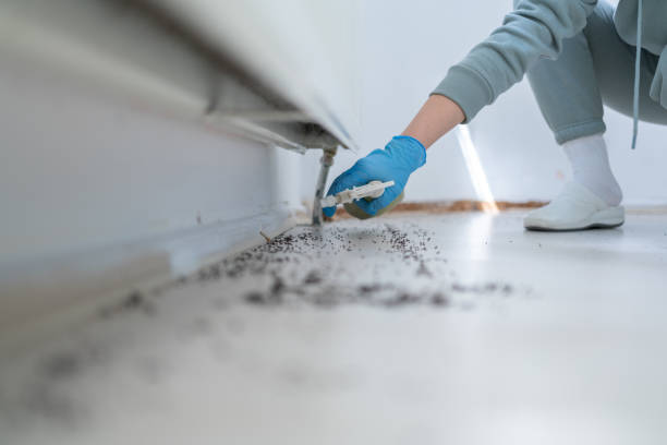 Best Pest Inspection Near Me  in Brownsville, KY