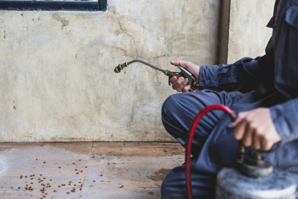 Best Affordable Pest Control Services  in Brownsville, KY